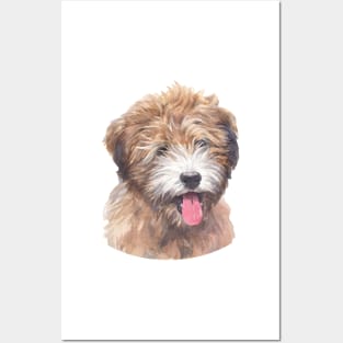 Tricolor Brindle Tibetan Terrier Watercolor Art Posters and Art